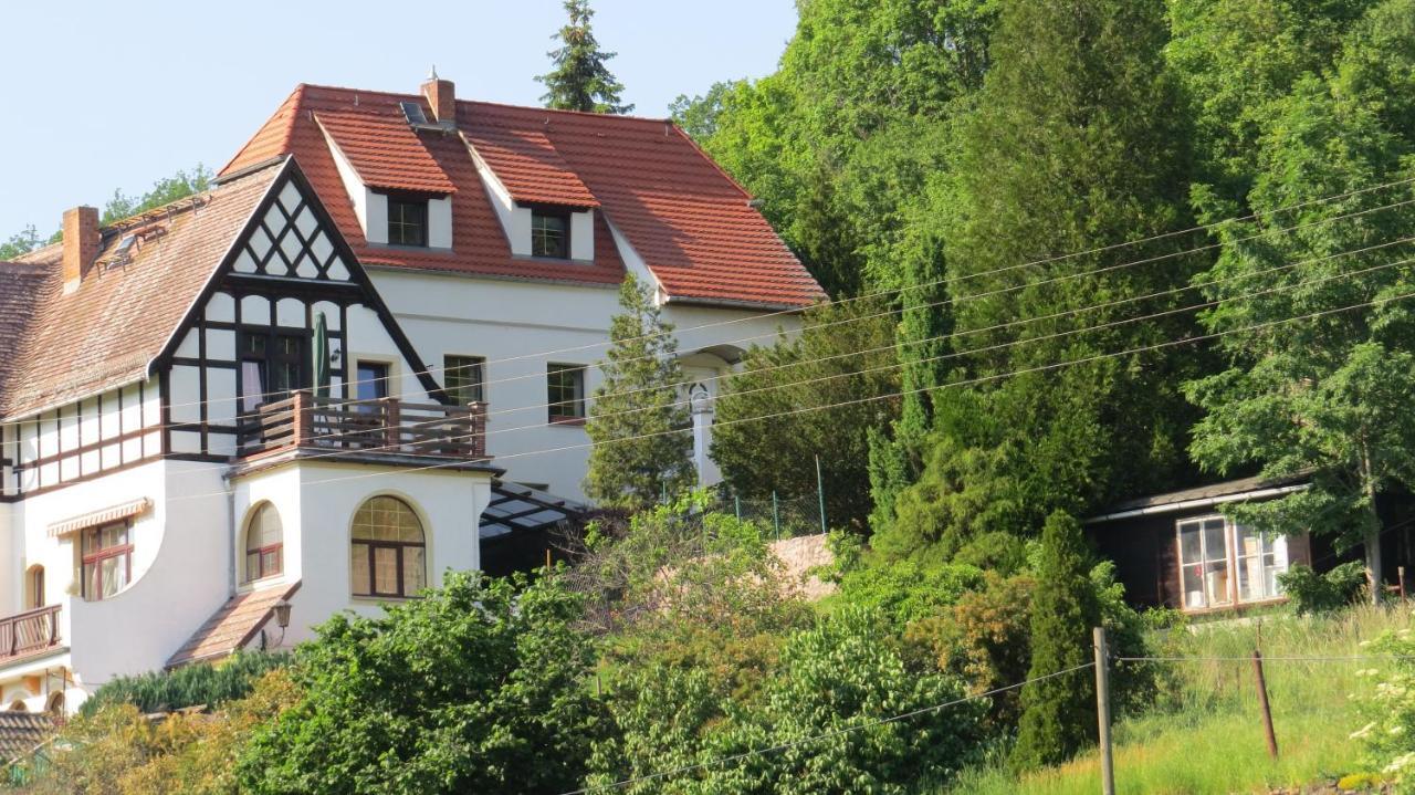 Ferienhaus Elbsommer Am Weinberg II Meißen Exteriör bild