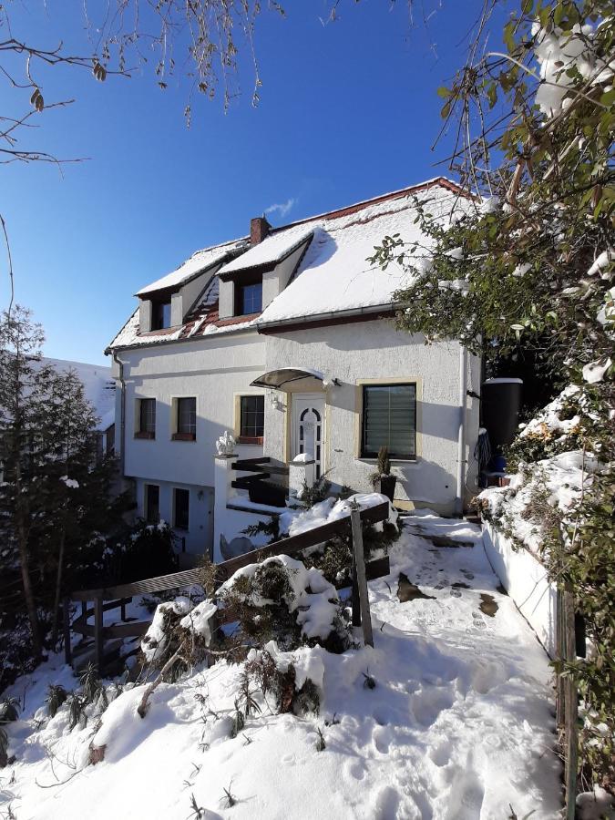Ferienhaus Elbsommer Am Weinberg II Meißen Exteriör bild