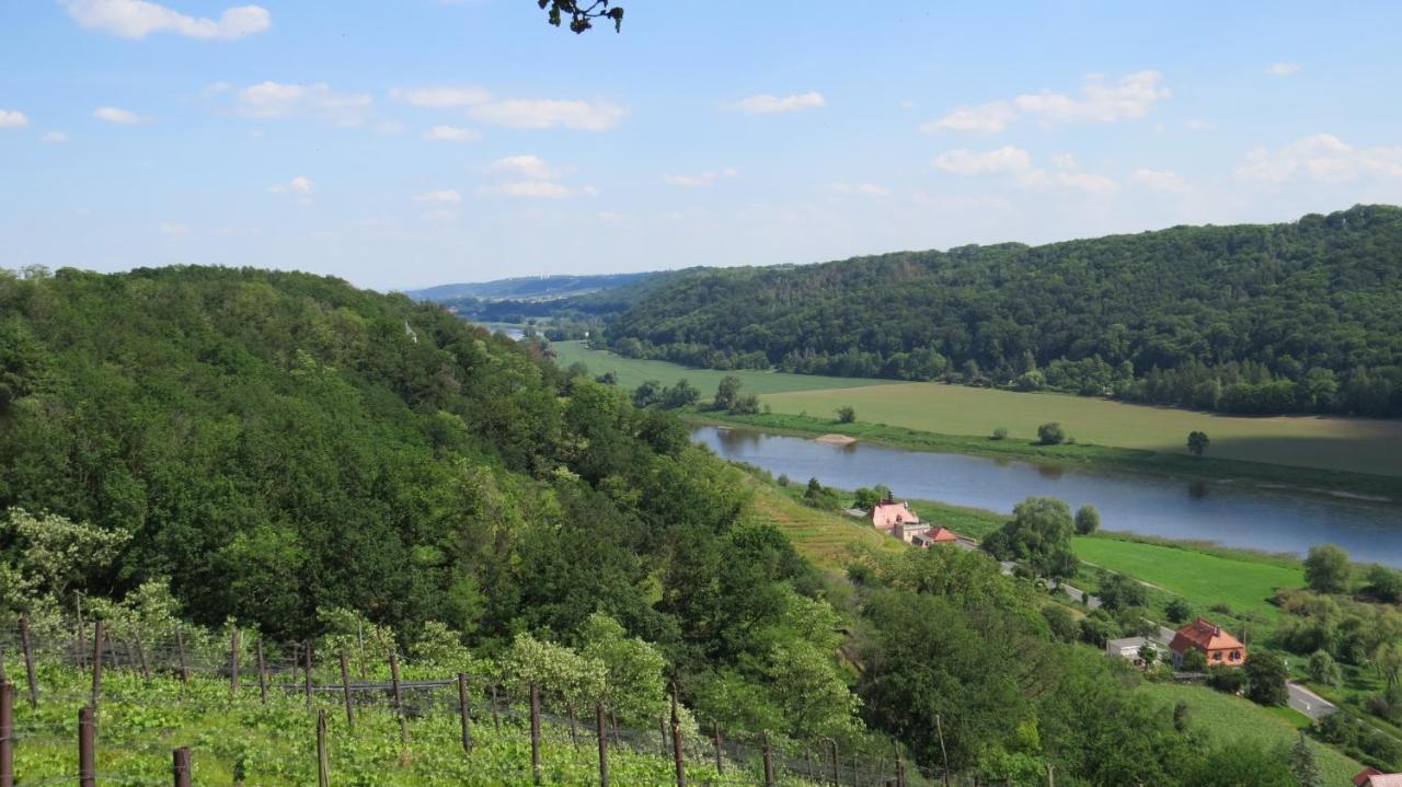 Ferienhaus Elbsommer Am Weinberg II Meißen Exteriör bild